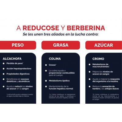 DIETFORMPIC 30 cápsulas de Dietmed Dietmed DIE-10928 Control de Peso salud.bio