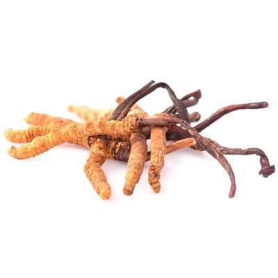 Cordyceps 90 Cápsulas de Anastore Bio Anastore PC90 Sistema inmunitario salud.bio