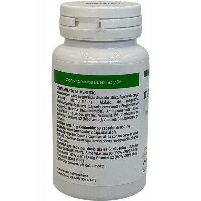 MIX Magnesio + Complejo B, 60 Cápsulas de Jellybell JellyBell JB-0146 Suplementos Minerales  salud.bio