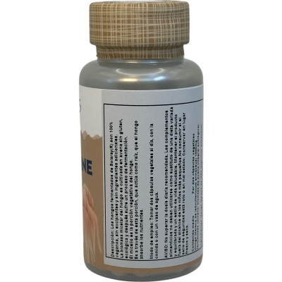Melena de León (Lion's Mane) 500mg 60 VegCaps. de Solaray SOLARAY SMI-71983 Plantas Medicinales salud.bio