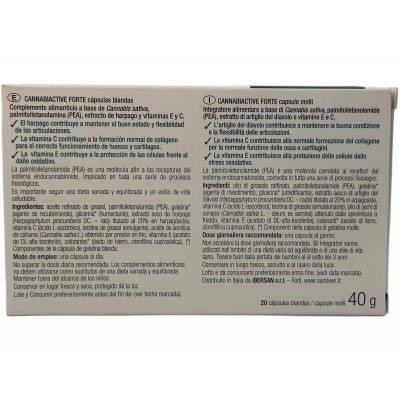 Cannabiactive FORTE PEA 400mg de Santiveri Santiveri  SAN-37237001 Articulaciones, Huesos, Tendones y Musculos, componen el A...