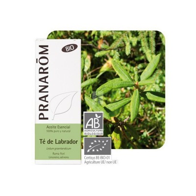 Té de labrador Aceite Esencial Natural BIO Quimiotipado de Pranarôm Pranarom 22368 Acéites esenciales salud.bio