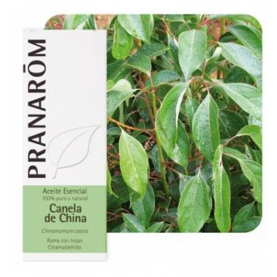 Canela China Aceite Esencial Natural Quimiotipado de Pranarôm Pranarom 227191 Acéites esenciales salud.bio