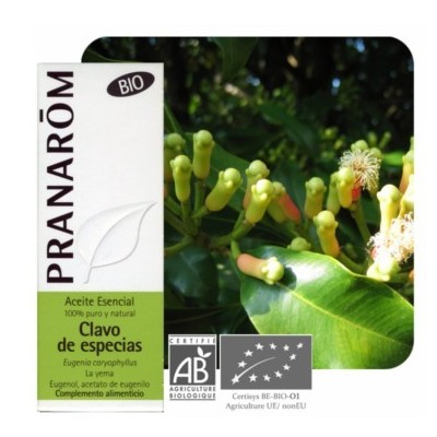 Clavo de Especias Aceite Esencial Natural Quimiotipado de Pranarôm Pranarom 227286 Acéites esenciales salud.bio