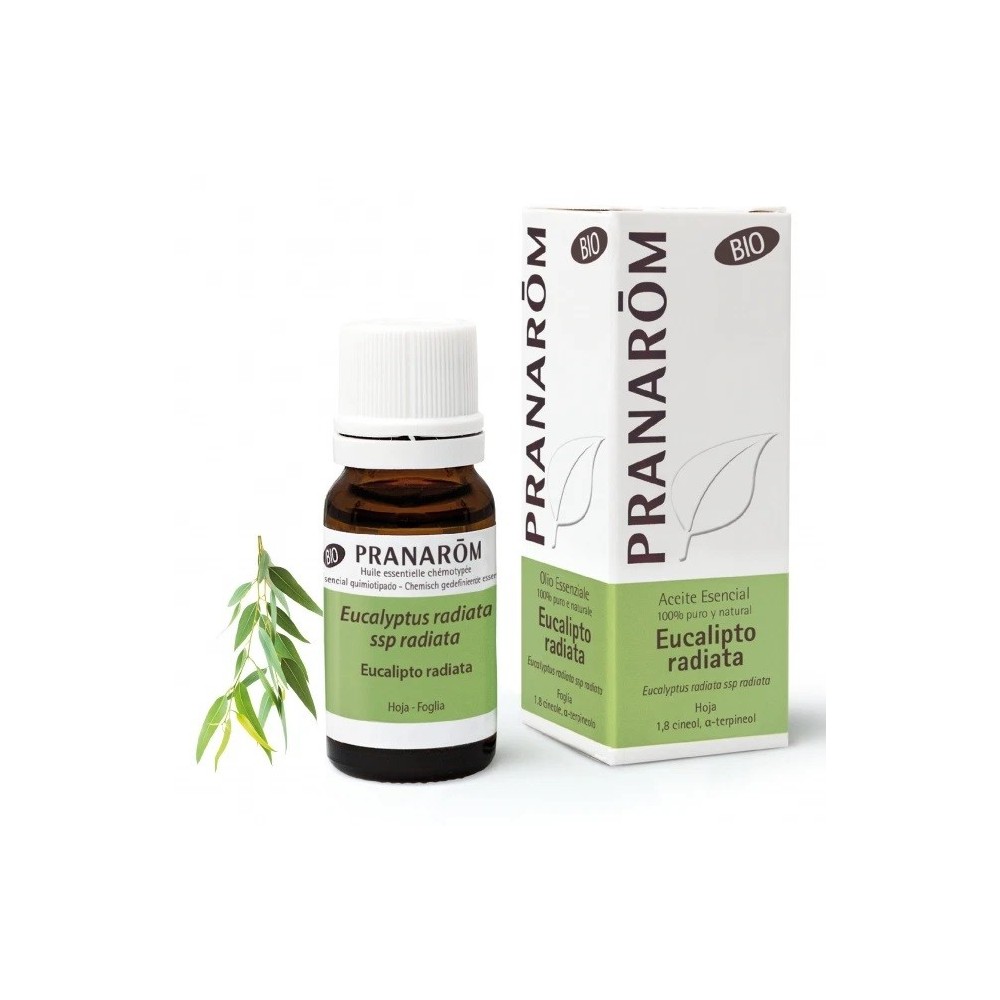 Eucalipto radiata Aceite esencial BIO 10ML de PRANARÓM Pranarom  Acéites esenciales salud.bio