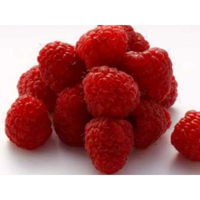 Raspberry Ketones 30 VegCaps. Apto para veganos de Solaray SOLARAY 49787 Control de Peso salud.bio