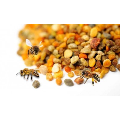 Polen Natural de 450g de la Magia del Colmenar La Magia del colmenar 8437019239138 Miel, Polen, Jalea Real, Propolis salud.bio