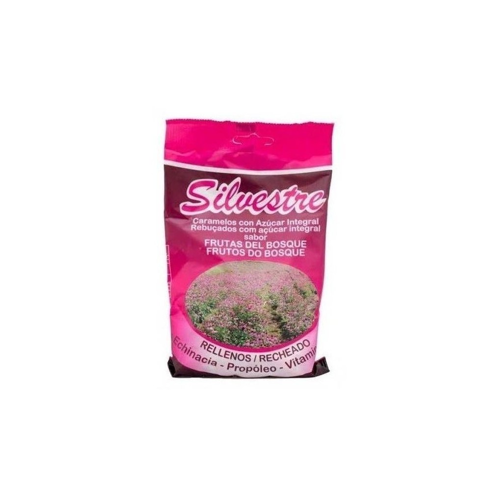 Caramelos Rellenos Frutos del Bosque 100gr de Silvestre Silvestre MER-006549 Caramelos salud.bio