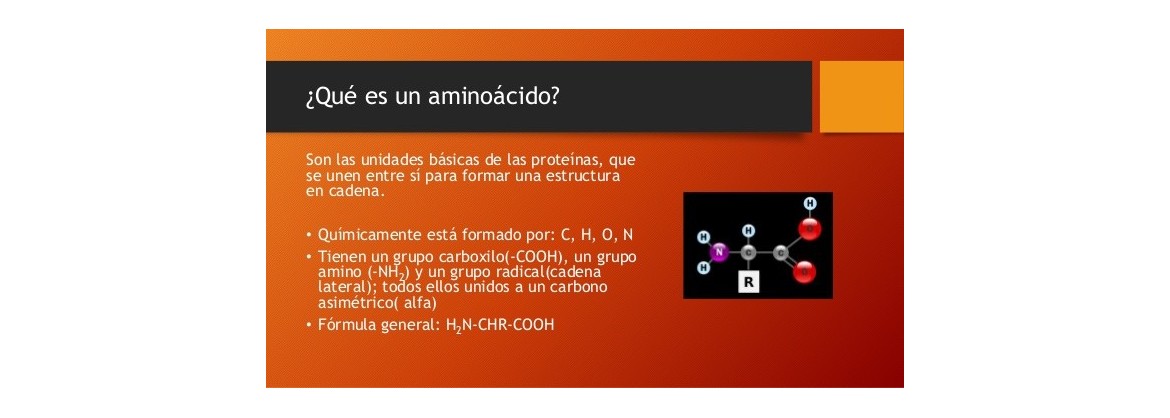 aminoacidos
