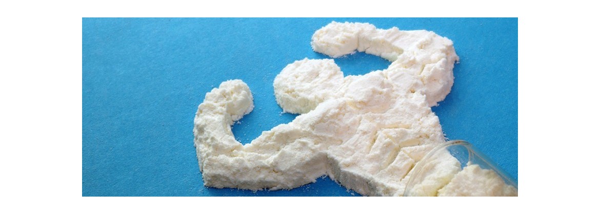 Gainers Suplementos Para Ganar Masa Muscular