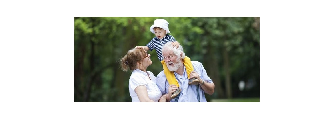 vitaminas y minerales