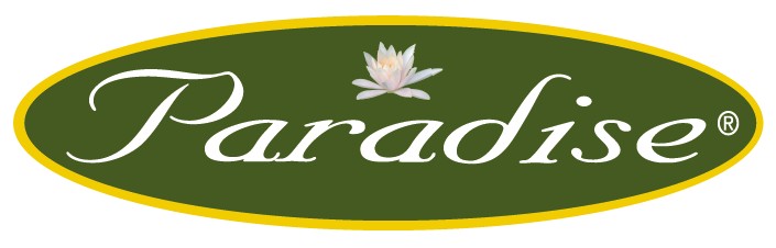 Paradise