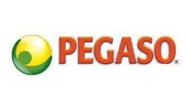 Pegaso S.R.L.