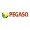 Pegaso S.R.L.