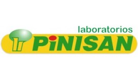 Pinisan